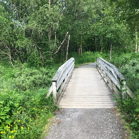 Private On Quiet Street Проживание в семье